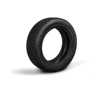 CONTINENTAL | 225/50R18 | TS830P | 99V